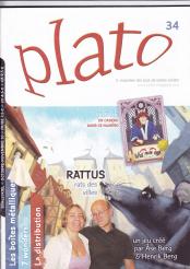 Plato n. 34